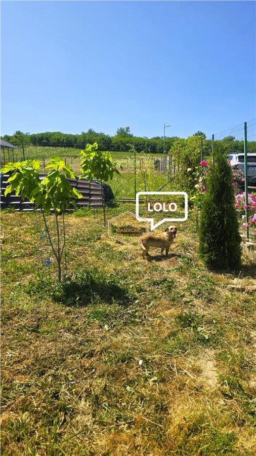 VIDEO | ?? Loc pentru casa, cabana sau cazare turistica in Ardud | Vedere de vis spre Satu Mare si padure - foto 18