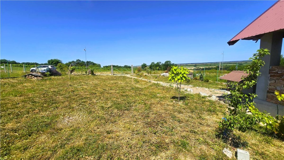VIDEO | ?? Loc pentru casa, cabana sau cazare turistica in Ardud | Vedere de vis spre Satu Mare si padure - foto 19