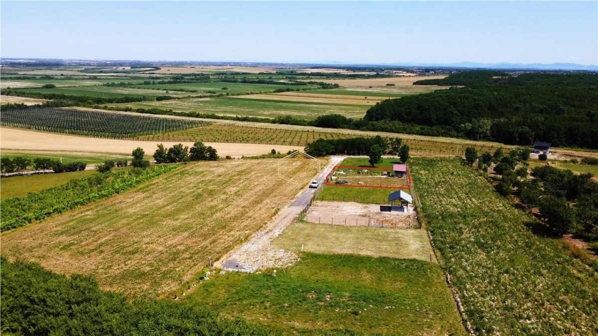 VIDEO | ?? Loc pentru casa, cabana sau cazare turistica in Ardud | Vedere de vis spre Satu Mare si padure - foto 21