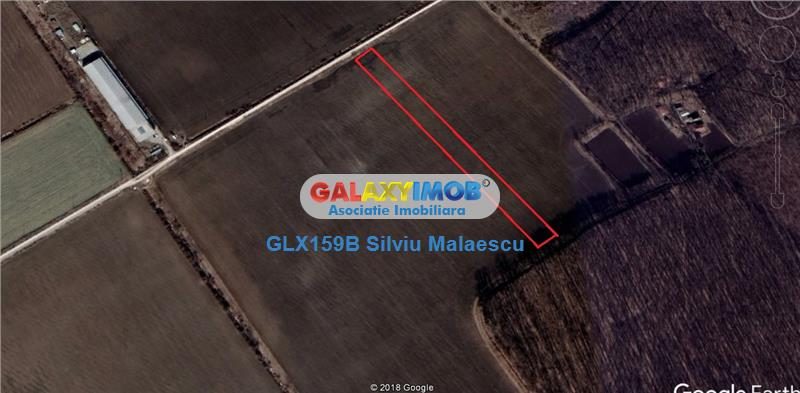 Buftea 8.601 Mp str. Aviatiei - foto 5