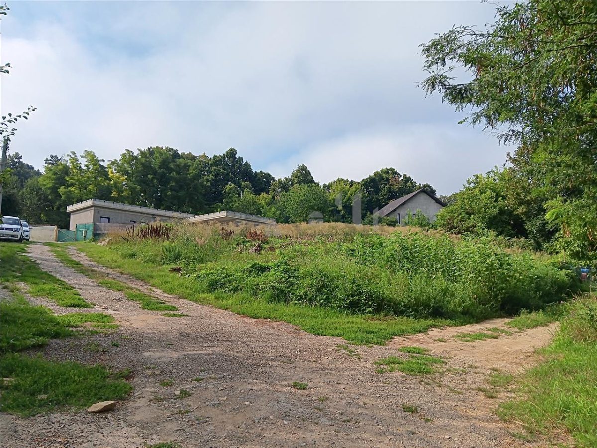 Bucium langa Motel TEREN 1650mp intravilan toate utilitatile acces dublu - foto 4