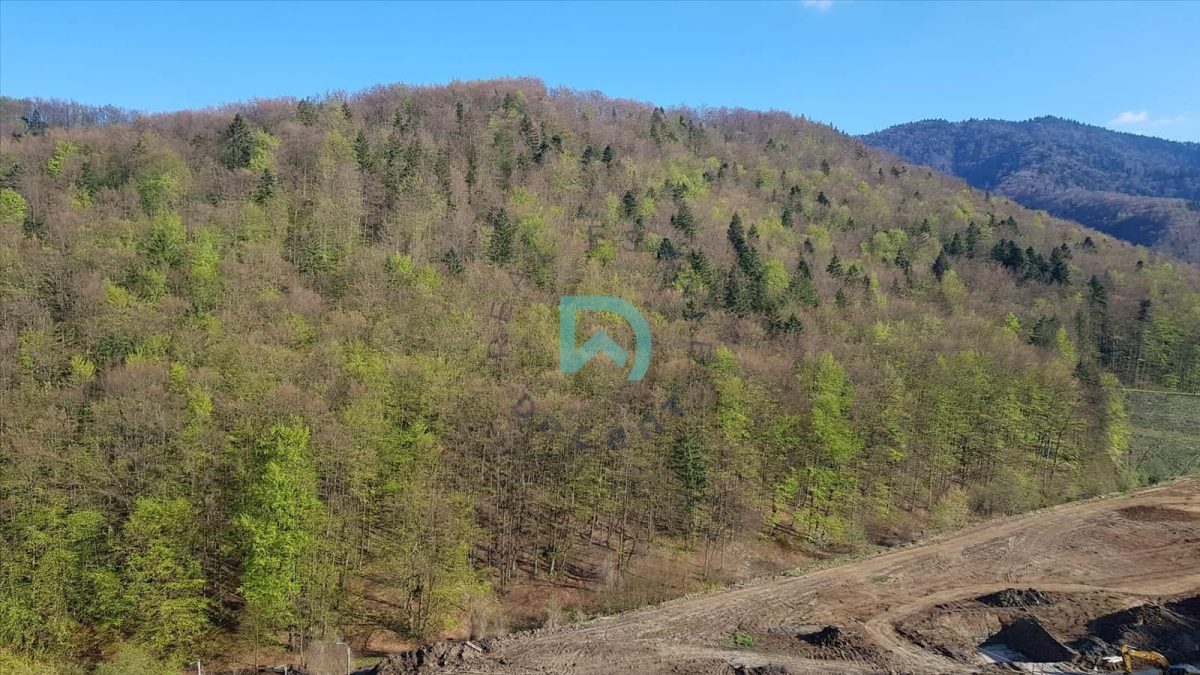 Apartament 3 camere - foto 10