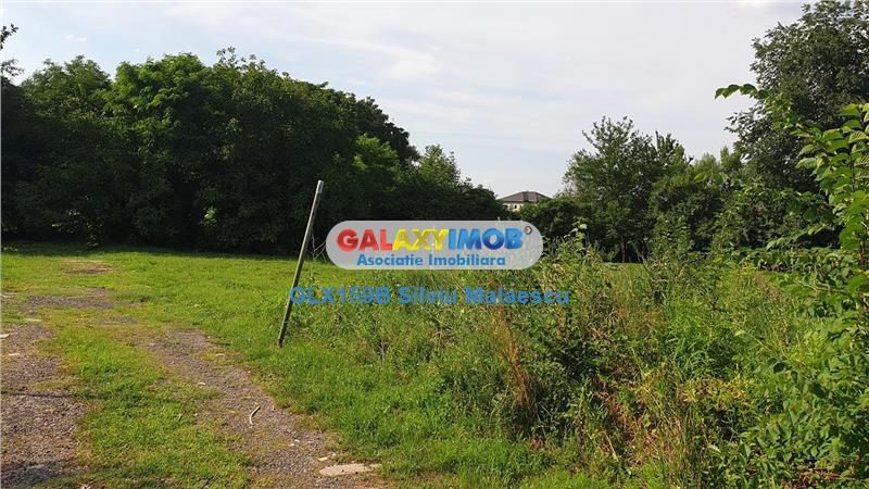 Chitila Lac de Nuferi  - 1.072 Mp LAC - foto 11