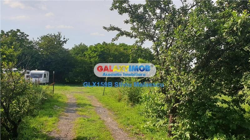 Chitila Lac de Nuferi  - 1.072 Mp LAC - foto 12