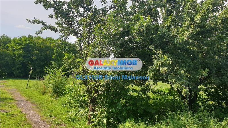 Chitila Lac de Nuferi  - 1.072 Mp LAC - foto 13