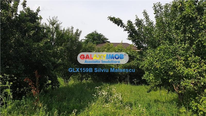 Chitila Lac de Nuferi  - 1.072 Mp LAC - foto 14