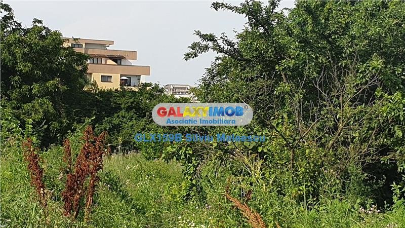 Chitila Lac de Nuferi  - 1.072 Mp LAC - foto 15