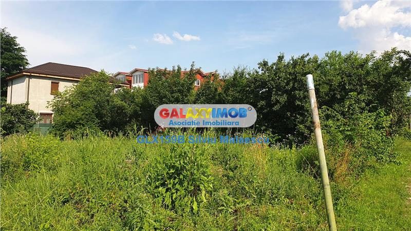 Chitila Lac de Nuferi  - 1.072 Mp LAC - foto 5