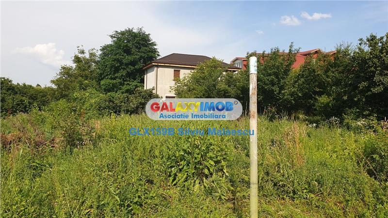 Chitila Lac de Nuferi  - 1.072 Mp LAC - foto 6