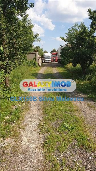 Chitila Lac de Nuferi  - 1.072 Mp LAC - foto 7