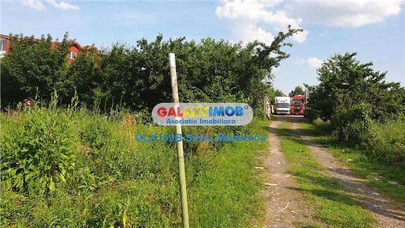 Chitila Lac de Nuferi  - 1.072 Mp LAC - foto 8