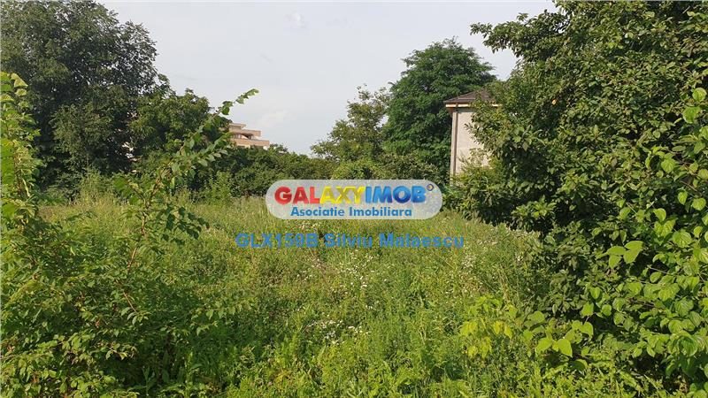 Chitila Lac de Nuferi  - 1.072 Mp LAC - foto 9