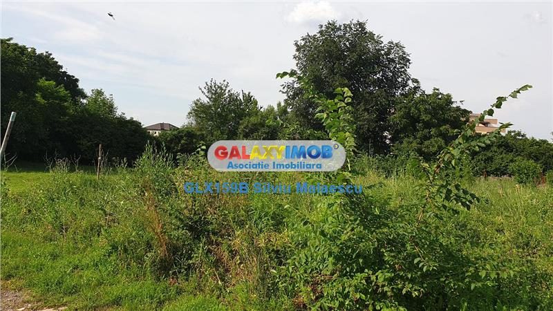 Chitila Lac de Nuferi  - 1.072 Mp LAC - foto 10