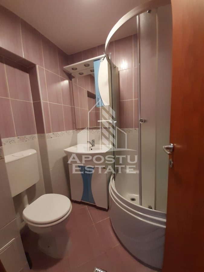 Garsoniera de vanzare in zona Dambovita, Timisoara - foto 4