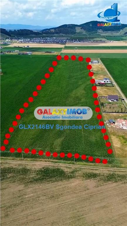 Teren Intravilan Cu PUZ Harman 32100 MP - 