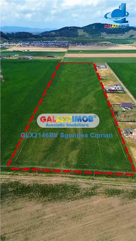 Teren Intravilan Cu PUZ Harman 32100 MP - foto 2