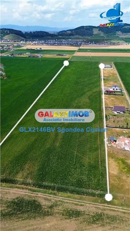 Teren Intravilan Cu PUZ Harman 32100 MP - foto 3