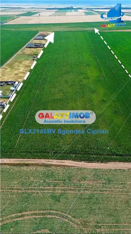 Teren Intravilan Cu PUZ Harman 32100 MP - foto 4