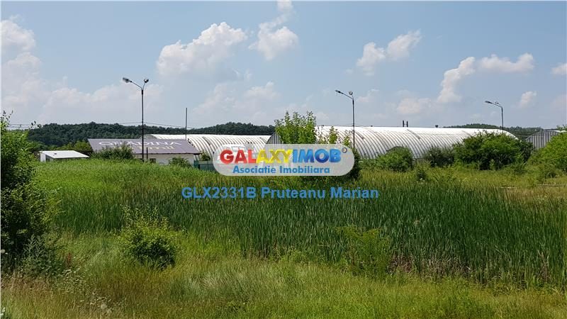 Vanzare lot teren de 8300 mp foarte aproape de Therme Balotesti-Otopen - foto 4