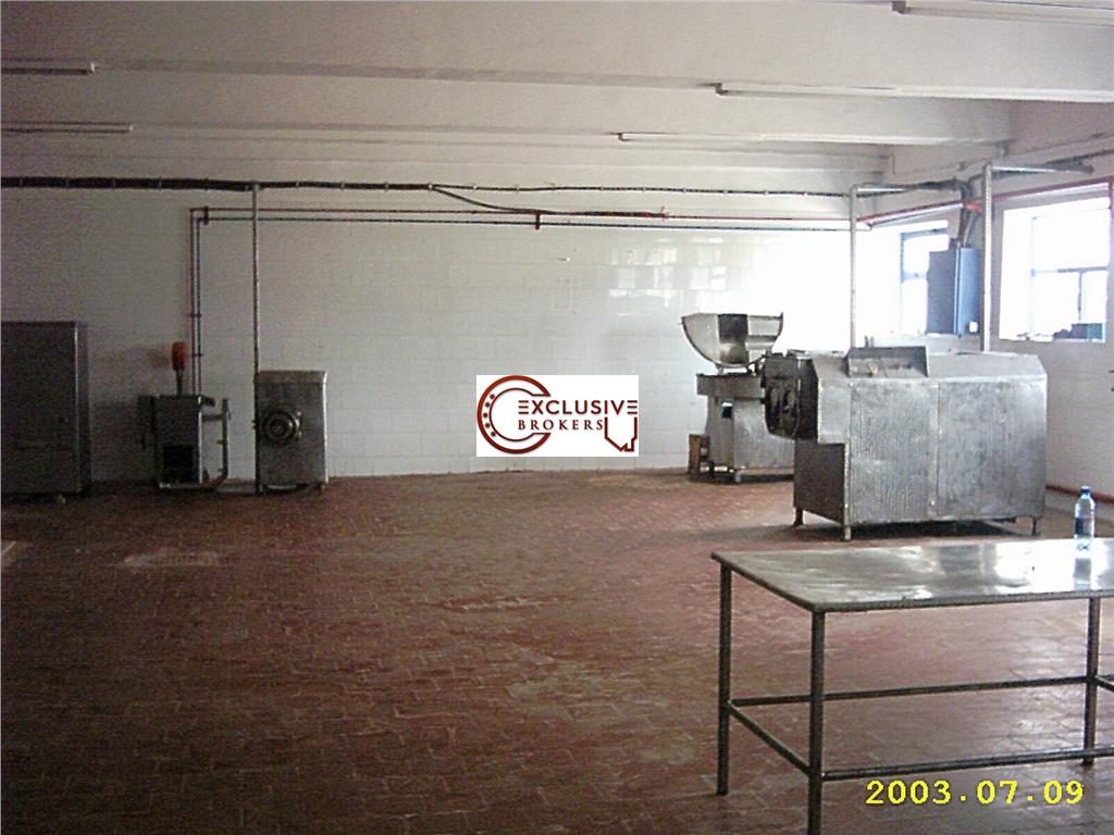 TEREN si constructii industriale-fost abator Mandresti - foto 9