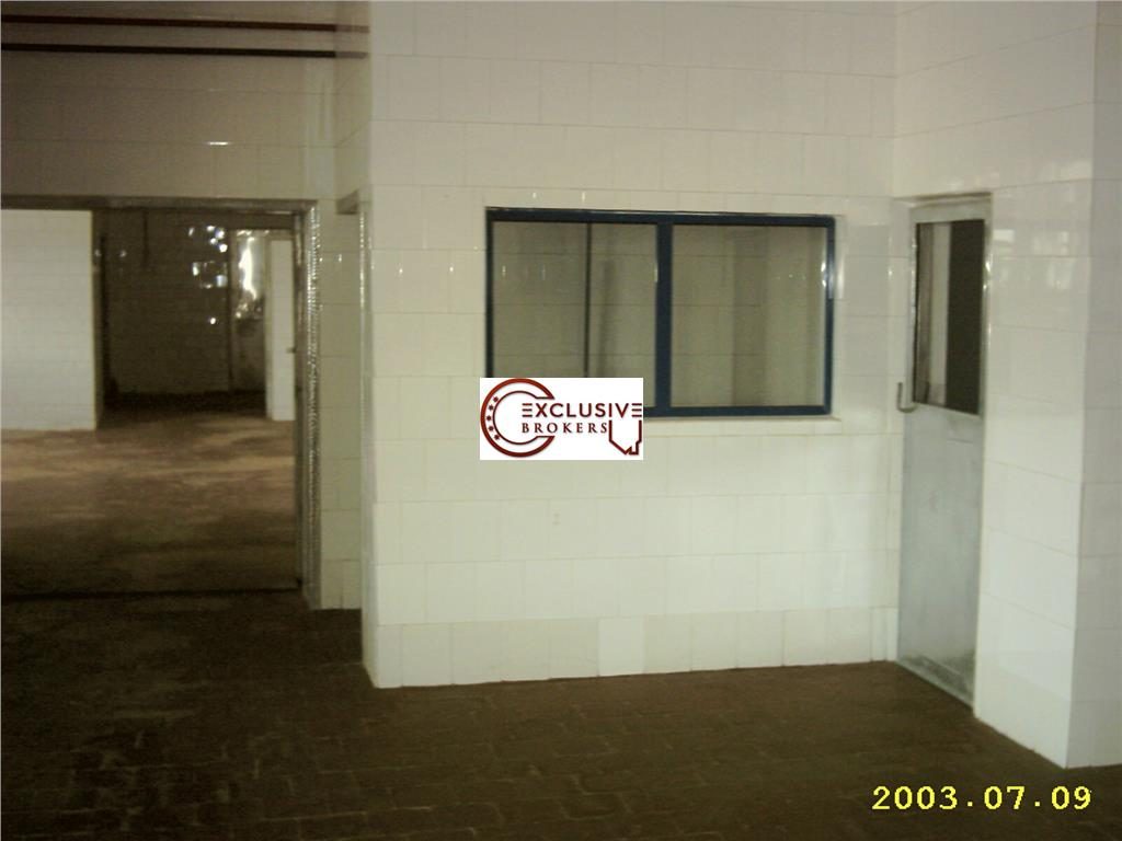 TEREN si constructii industriale-fost abator Mandresti - foto 10