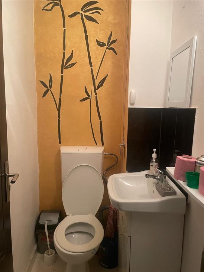 Spațiu comercial zona centrala Bacău - foto 8