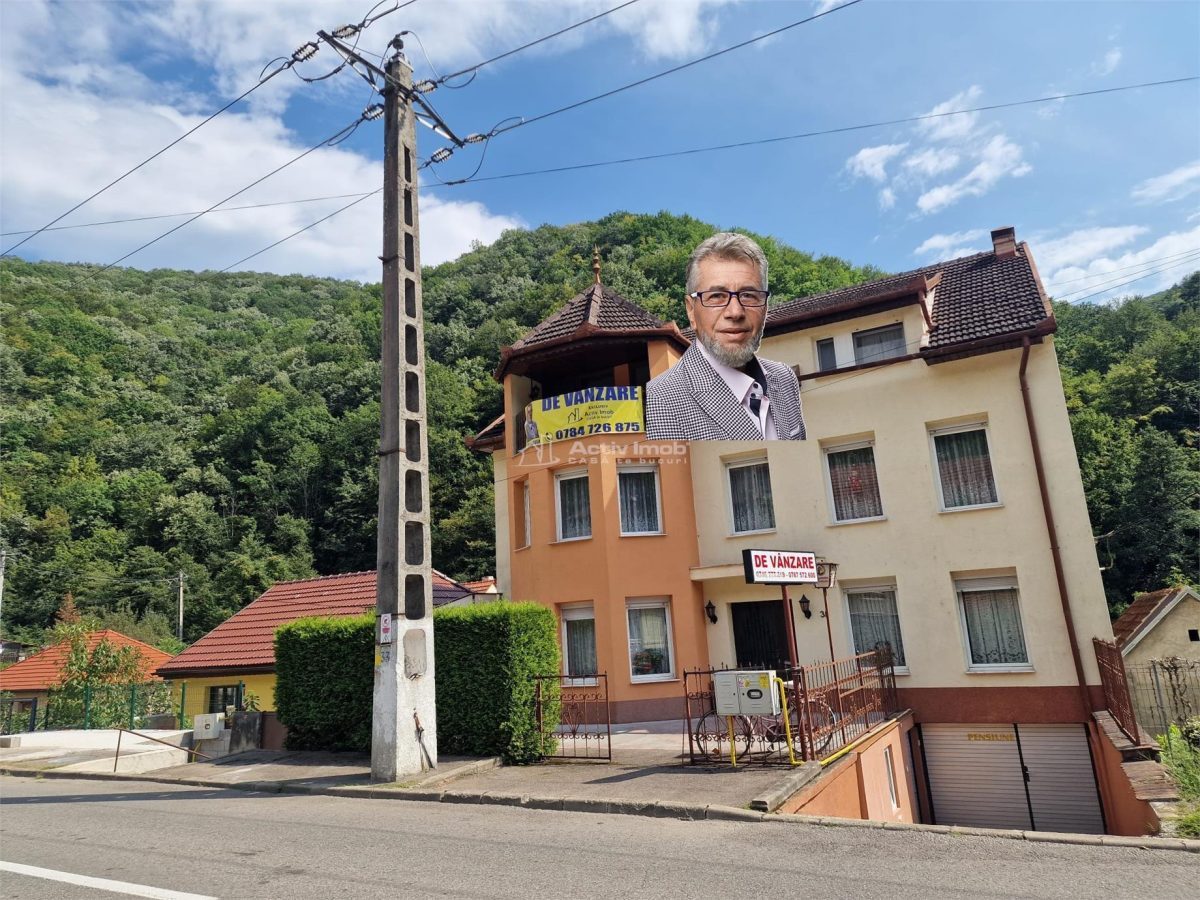 Resita Vila si Pensiune P+2+Mansd.827 Mp.Comision ZERO Cumparator - 