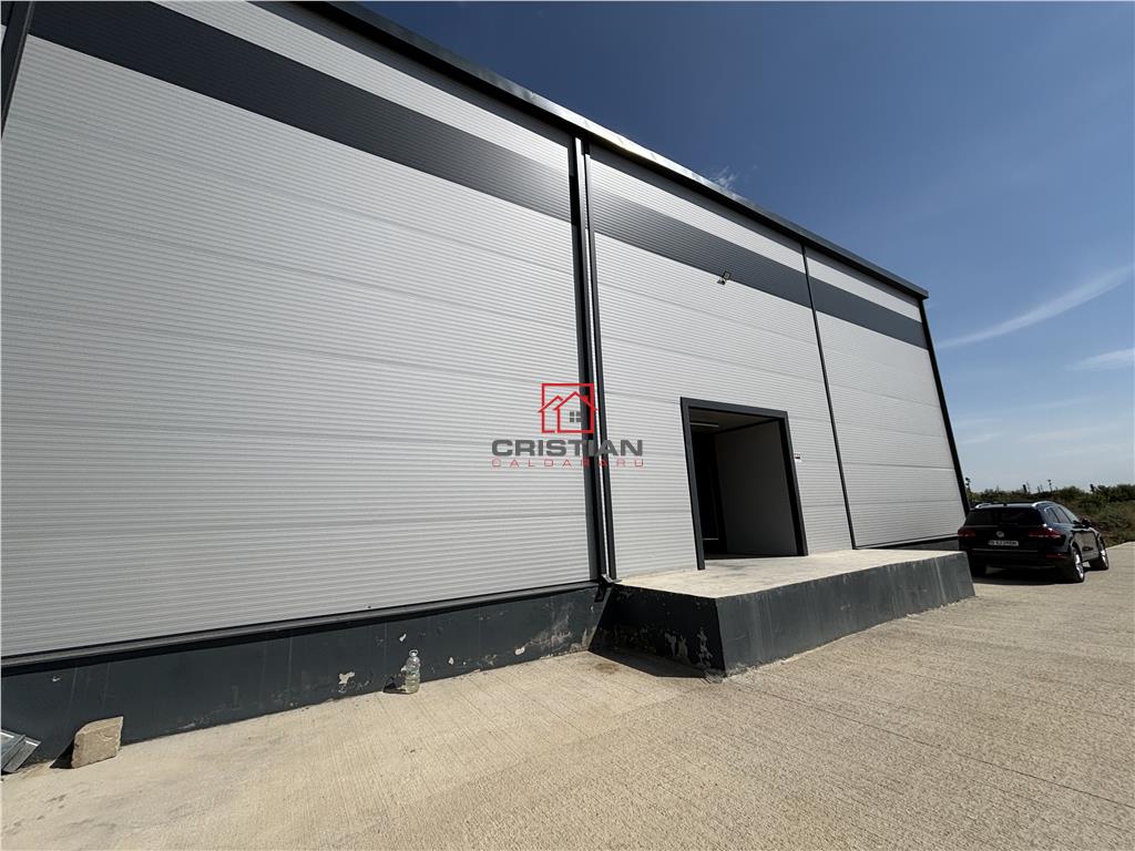 Vanzare depozit/hala/spatiu industrial Theodor Pallady - Drumul Intre Tarlale - Oxigenului - 