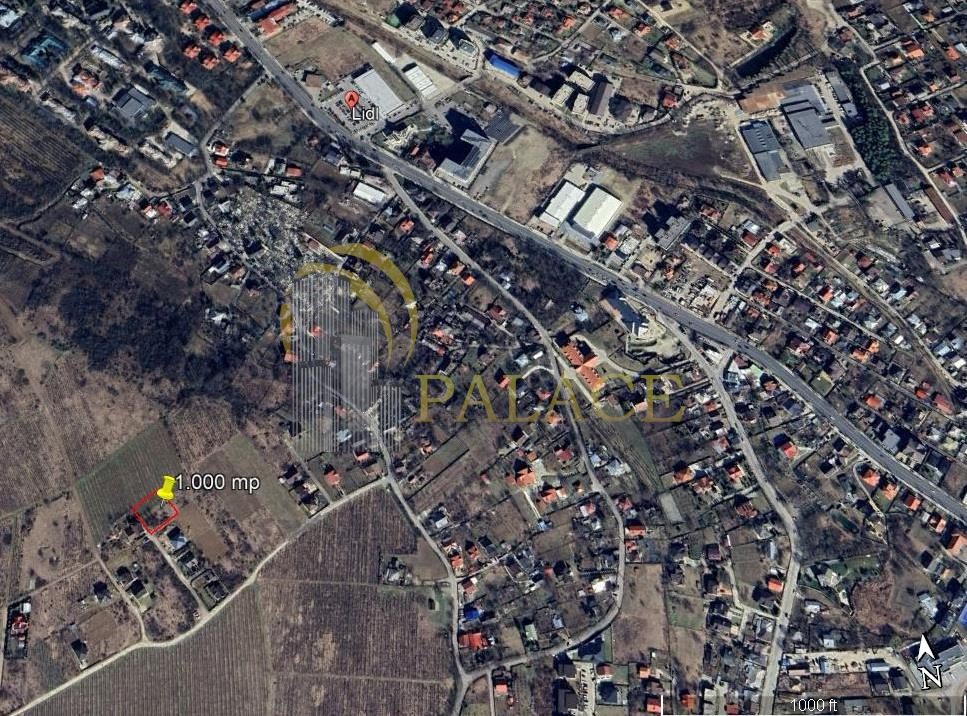 Teren 1000 mp Bucium  cu PUZ pentru construire casa P+1 - foto 2