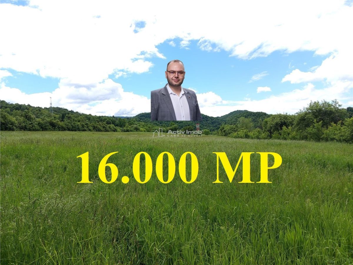 Borlovenii Noi, Teren Drept, 16000mp, la Limita Localitatii - 