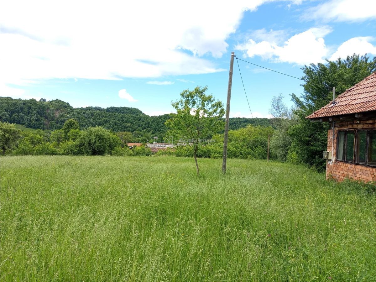 Borlovenii Noi, Teren Drept, 16000mp, la Limita Localitatii - foto 2