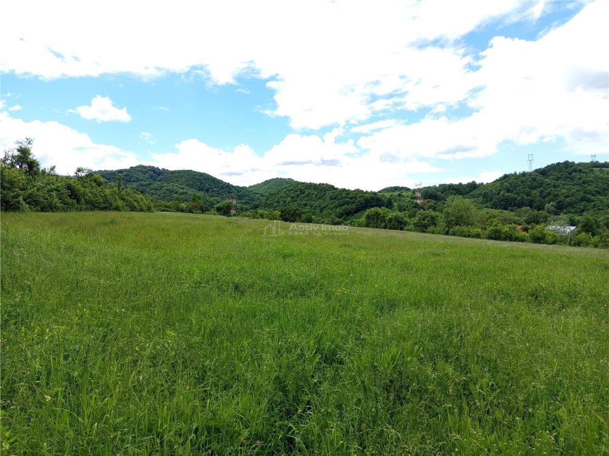 Borlovenii Noi, Teren Drept, 16000mp, la Limita Localitatii - foto 11