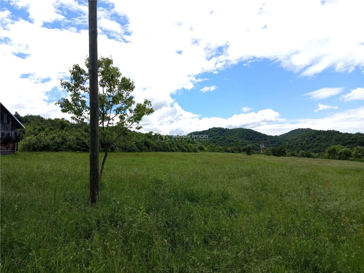 Borlovenii Noi, Teren Drept, 16000mp, la Limita Localitatii - foto 12