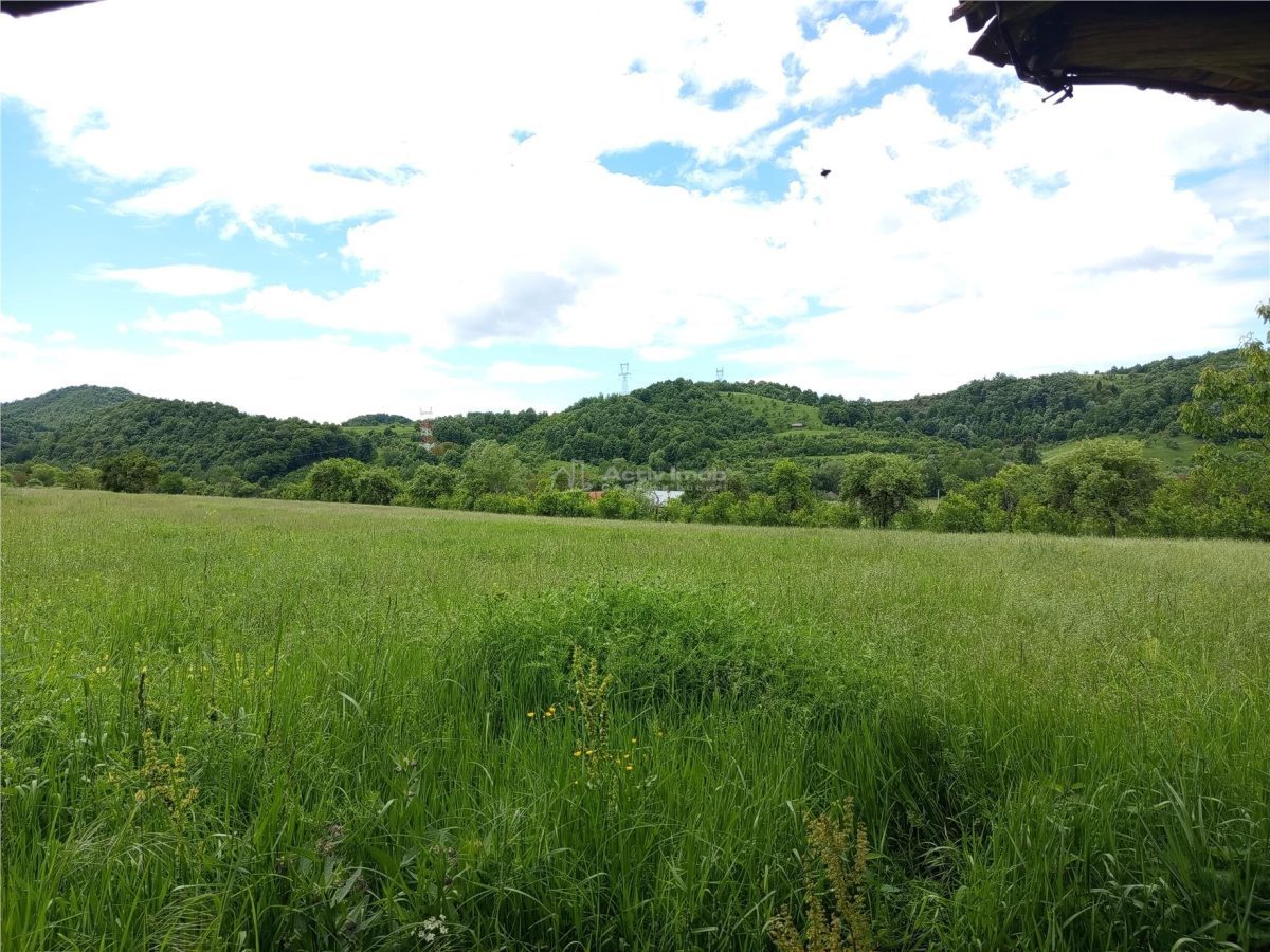 Borlovenii Noi, Teren Drept, 16000mp, la Limita Localitatii - foto 13