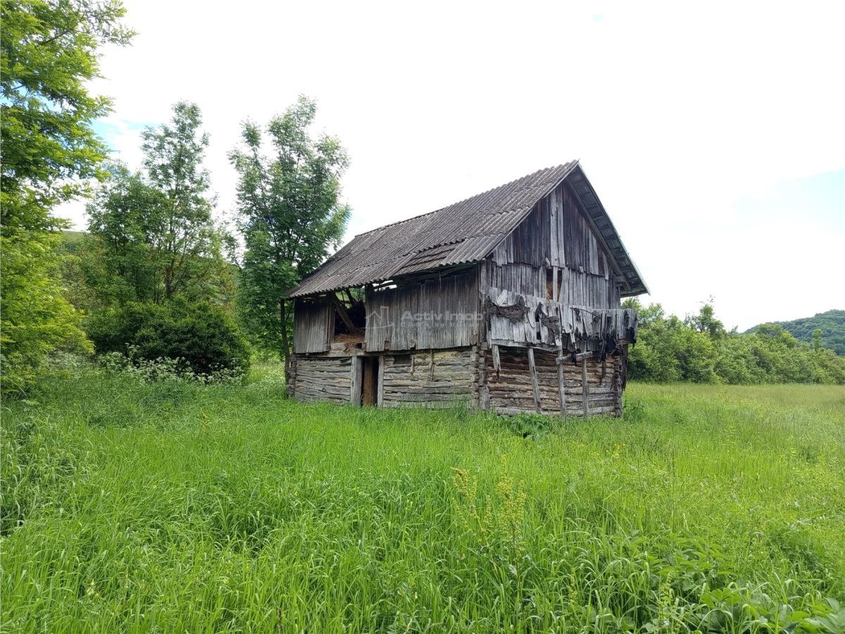 Borlovenii Noi, Teren Drept, 16000mp, la Limita Localitatii - foto 14