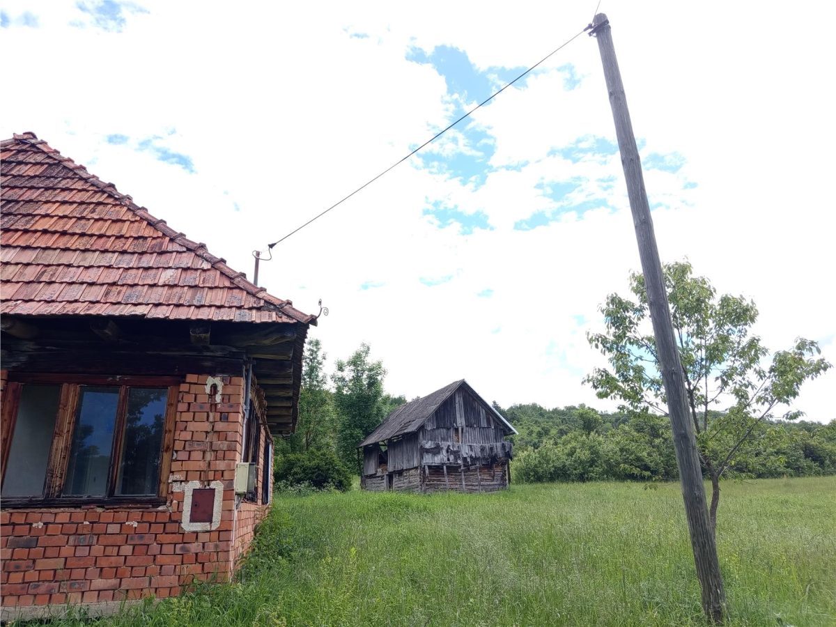 Borlovenii Noi, Teren Drept, 16000mp, la Limita Localitatii - foto 15