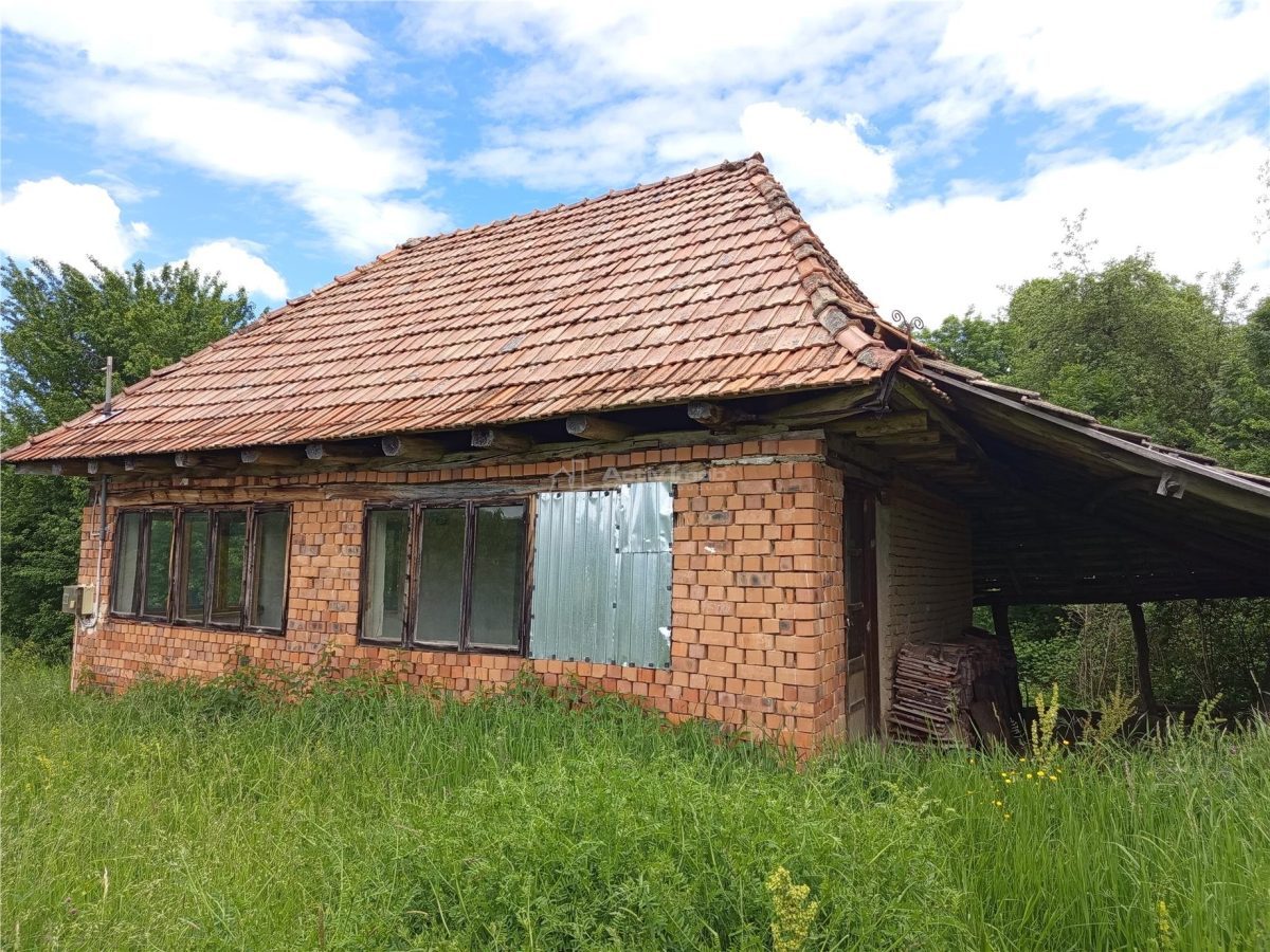 Borlovenii Noi, Teren Drept, 16000mp, la Limita Localitatii - foto 16