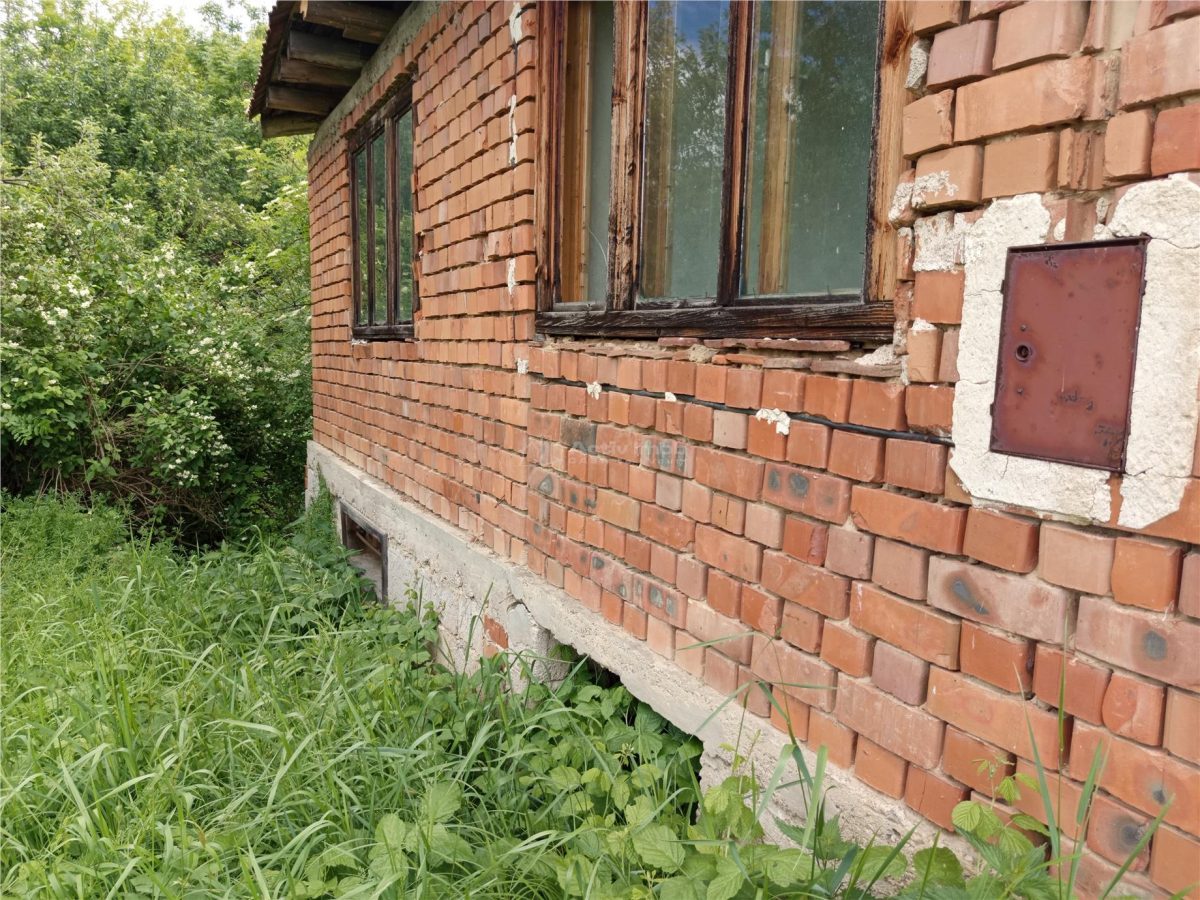 Borlovenii Noi, Teren Drept, 16000mp, la Limita Localitatii - foto 17