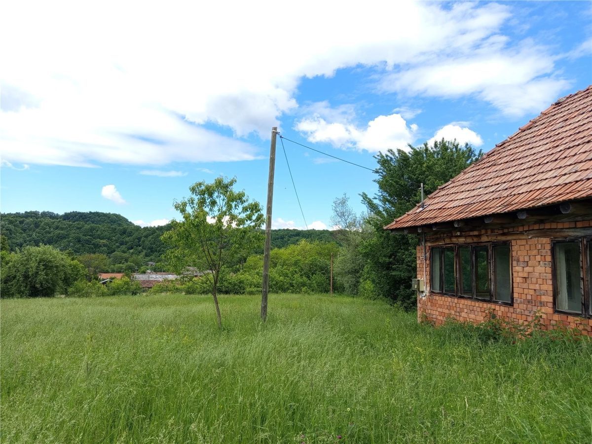 Borlovenii Noi, Teren Drept, 16000mp, la Limita Localitatii - foto 18