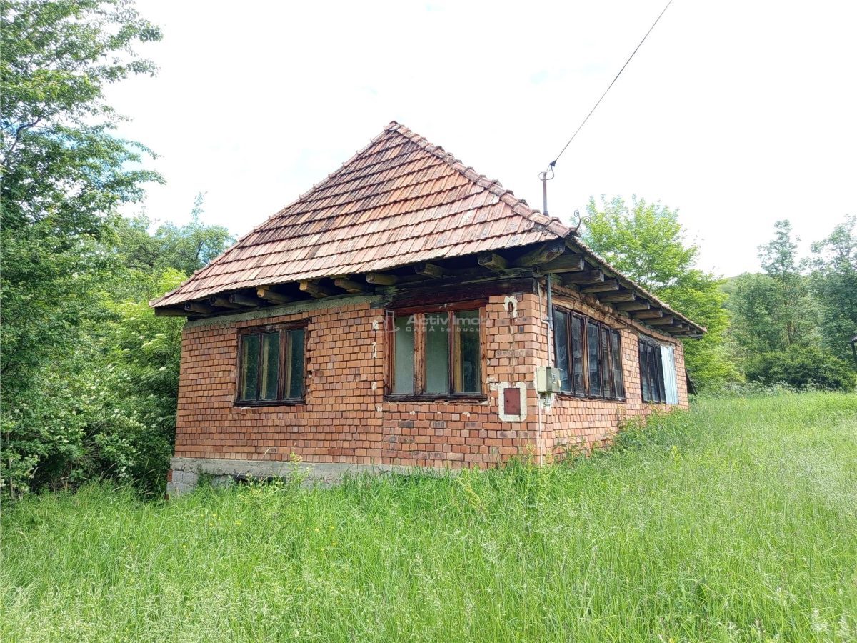 Borlovenii Noi, Teren Drept, 16000mp, la Limita Localitatii - foto 19