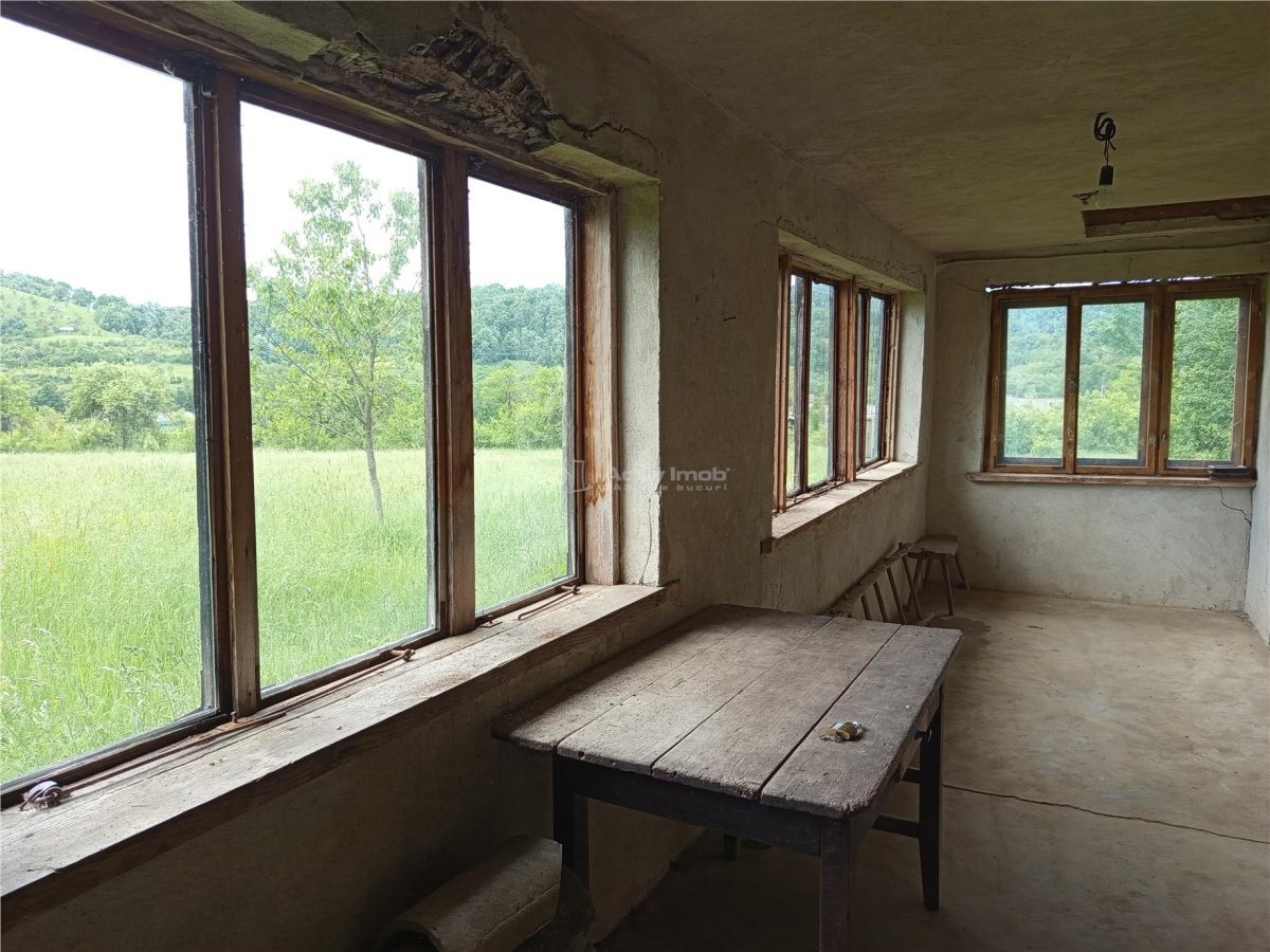 Borlovenii Noi, Teren Drept, 16000mp, la Limita Localitatii - foto 20