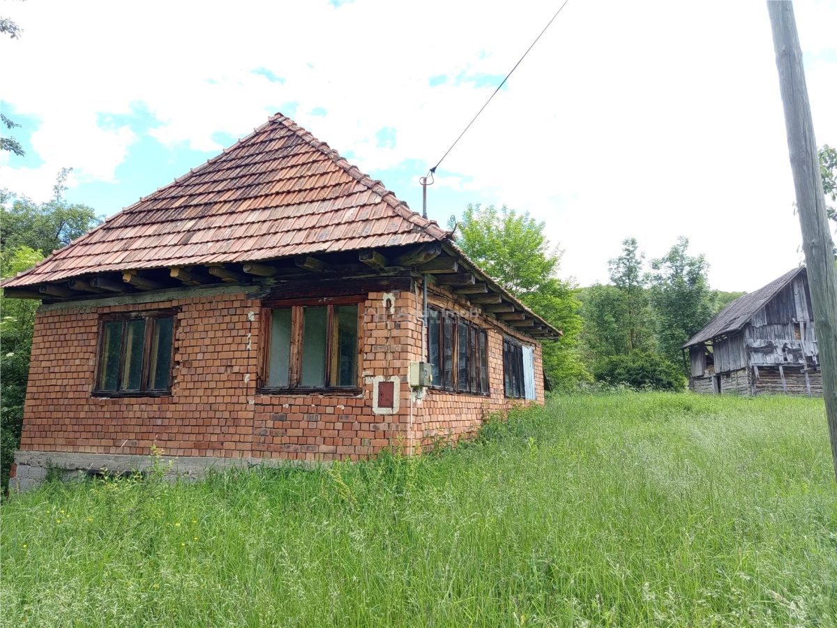 Borlovenii Noi, Teren Drept, 16000mp, la Limita Localitatii - foto 3