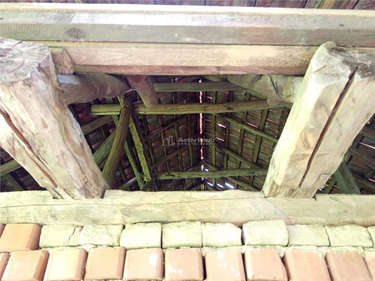 Borlovenii Noi, Teren Drept, 16000mp, la Limita Localitatii - foto 23