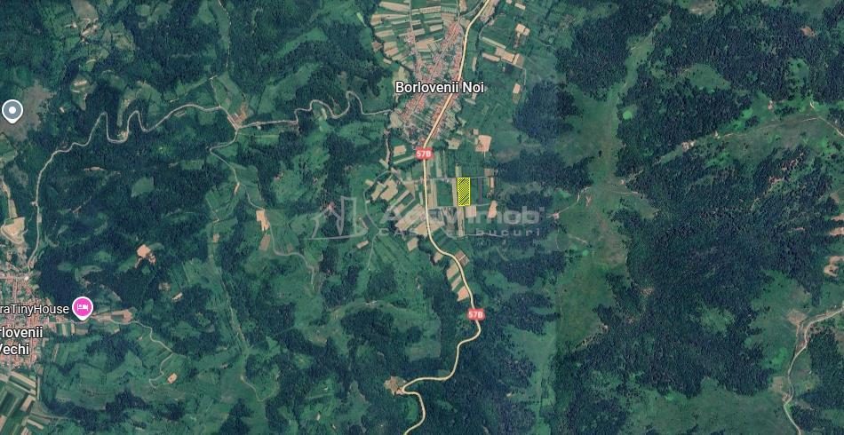 Borlovenii Noi, Teren Drept, 16000mp, la Limita Localitatii - foto 6