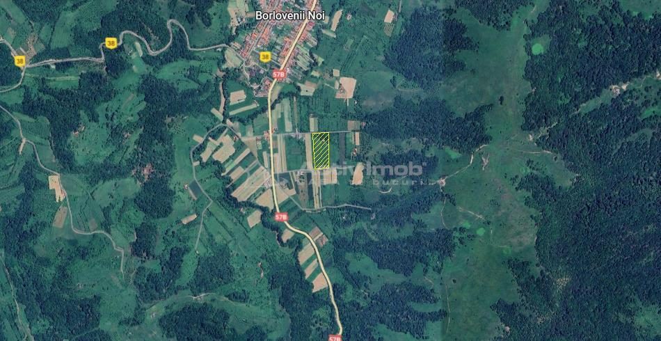 Borlovenii Noi, Teren Drept, 16000mp, la Limita Localitatii - foto 7