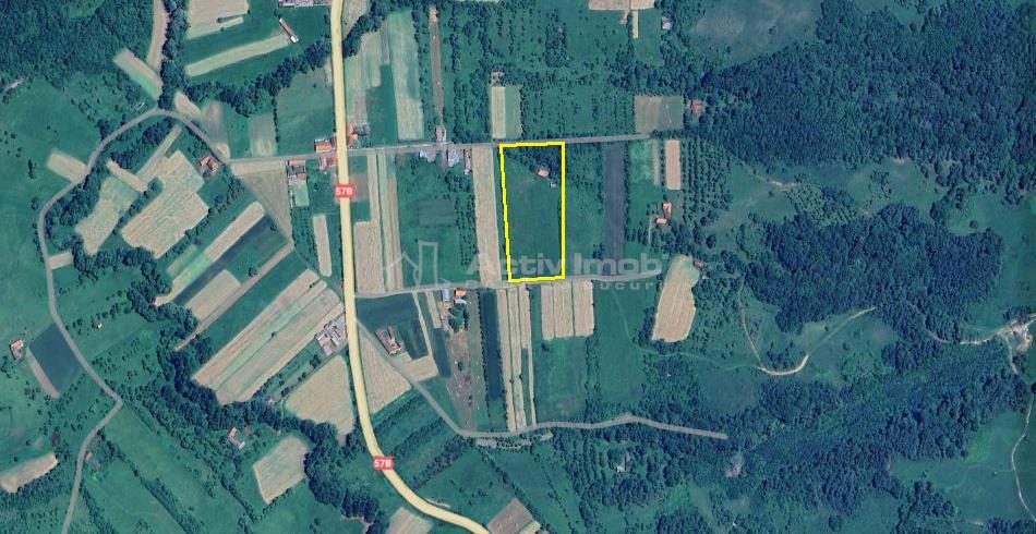 Borlovenii Noi, Teren Drept, 16000mp, la Limita Localitatii - foto 8