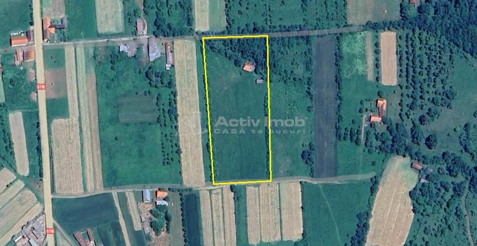 Borlovenii Noi, Teren Drept, 16000mp, la Limita Localitatii - foto 9