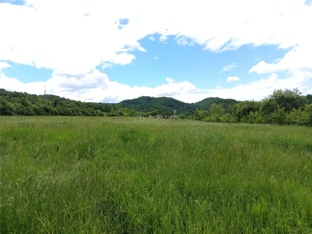 Borlovenii Noi, Teren Drept, 16000mp, la Limita Localitatii - foto 10