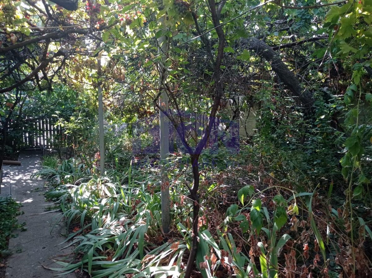 CASA DE VANZARE zona Eroii Revolitiei - foto 2