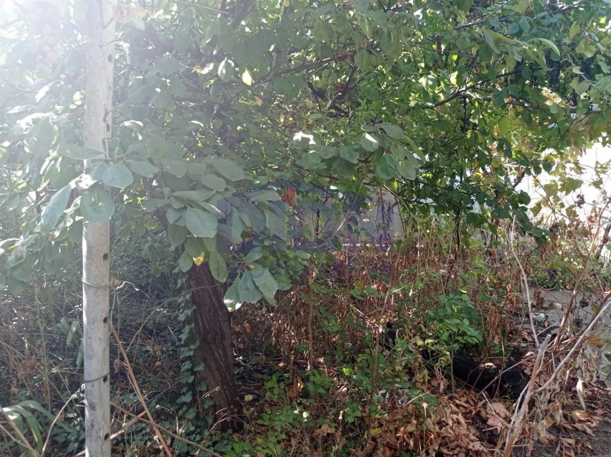 CASA DE VANZARE zona Eroii Revolitiei - foto 12